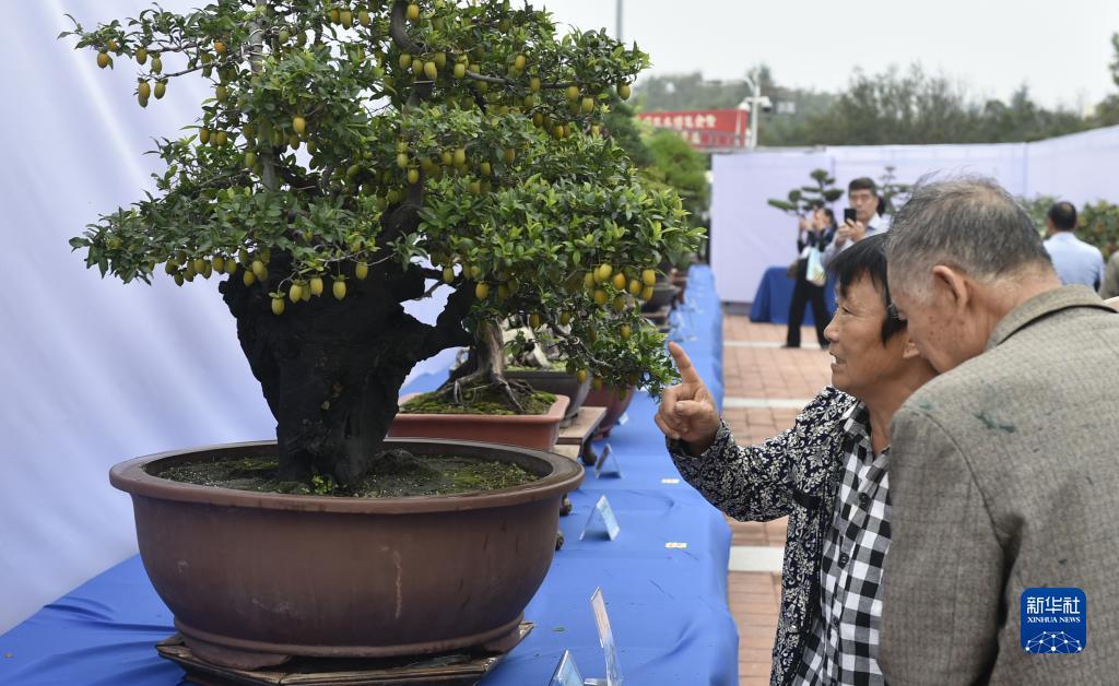 大满贯老品牌网站